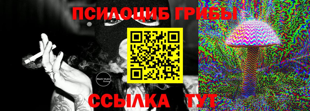 Прохладный  наркота  Вход с VPN  Псилоцибиновые грибы MAGIC MUSHROOMS 